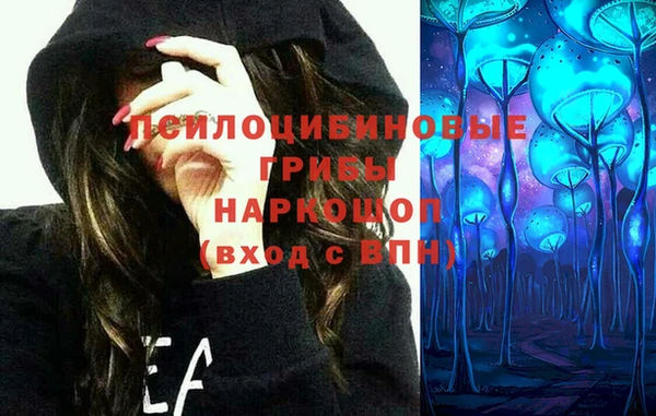крисы Инсар